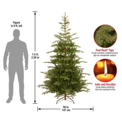 7.5' Unlit Norwegian Spruce Artificial Christmas Tree - National Tree Company 7 7.5' Unlit Norwegian Spruce Artificial Christmas Tree - National Tree Company -National Tree Company GUEST 0159d6aa 0ca9 4812 800b 8fe44661a8a2