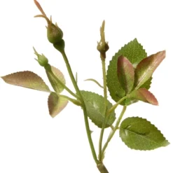 16.5" Pink Rose Flower - National Tree Company 6 16.5" Pink Rose Flower - National Tree Company -National Tree Company GUEST 07272f3b 12e4 4f35 bd45 43dcbdfccb55