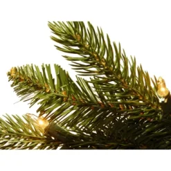 National Tree Company 6.5' Prelit Pencil Slim Grand Fir Artificial Christmas Tree Clear Lights 7 National Tree Company 6.5' Prelit Pencil Slim Grand Fir Artificial Christmas Tree Clear Lights -National Tree Company GUEST 0a2a3190 3556 41b6 b46b 3b31aa2d3124