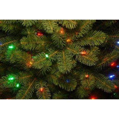 National Tree Company Pre-lit Feel Real Downswept Douglas Fir Artificial Christmas Tree With Dual Color LED Lights 2 National Tree Company Pre-lit Feel Real Downswept Douglas Fir Artificial Christmas Tree With Dual Color LED Lights - Image 2