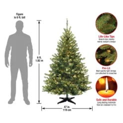 6' Unlit Kincaid Spruce Artificial Christmas Tree Clear Lights - National Tree Company 7 6' Unlit Kincaid Spruce Artificial Christmas Tree Clear Lights - National Tree Company -National Tree Company GUEST 15db00e7 fec5 46ef 8f16 42d30df03d5b