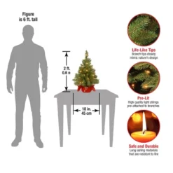 2' Prelit Majestic Spruce Artificial Christmas Tree In Burgundy Cloth Bag Warm White Lights - National Tree Company -National Tree Company GUEST 17bf7677 a02a 457c b824 3d86364c7ee5