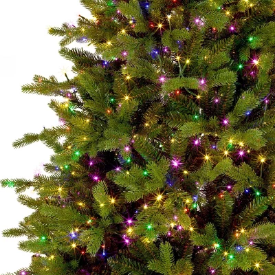 National Tree Company Pre-lit Feel Real Full Princeton Fraser Fir Artificial Christmas Tree With Dual Color LED Lights 1 National Tree Company Pre-lit Feel Real Full Princeton Fraser Fir Artificial Christmas Tree With Dual Color LED Lights