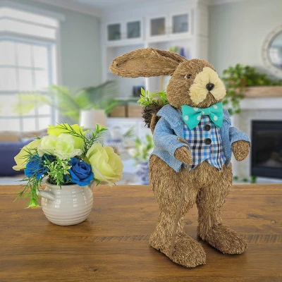 National Tree Company Male Bunny In Blue Coat Table Decoration, Easter Collection, 10 Inches 1 National Tree Company Male Bunny In Blue Coat Table Decoration, Easter Collection, 10 Inches