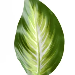 National Tree Company 24" Hosta Plant: Indoor/Outdoor Faux Greenery, Brown Pot, Polyethylene 7 National Tree Company 24" Hosta Plant: Indoor/Outdoor Faux Greenery, Brown Pot, Polyethylene -National Tree Company GUEST 42d57b29 624d 4a22 9902 c7c8dc63e471