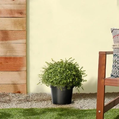 National Tree Company 15" Artificial Mini Tea Leaf One-Ball 1 National Tree Company 15" Artificial Mini Tea Leaf One-Ball