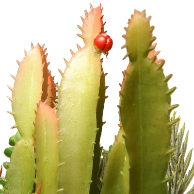 Artificial Succulent Plants 7.5" - National Tree Company 3 Artificial Succulent Plants 7.5" - National Tree Company - Image 3