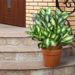 National Tree Company 24" Hosta Plant: Indoor/Outdoor Faux Greenery, Brown Pot, Polyethylene
