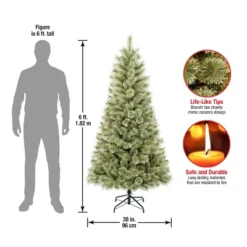 6' Unlit Hinged Arcadia Cashmere Pine Artificial Christmas Tree - National Tree Company 6 6' Unlit Hinged Arcadia Cashmere Pine Artificial Christmas Tree - National Tree Company -National Tree Company GUEST 75c22921 0693 4003 bb26 570d128f8caa