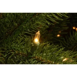 National Tree Company Pre-lit Feel Real Downswept Douglas Fir Artificial Christmas Tree With Dual Color LED Lights 12 National Tree Company Pre-lit Feel Real Downswept Douglas Fir Artificial Christmas Tree With Dual Color LED Lights -National Tree Company GUEST 8ddcb81d 081b 4db3 b915 00ebd146fc66