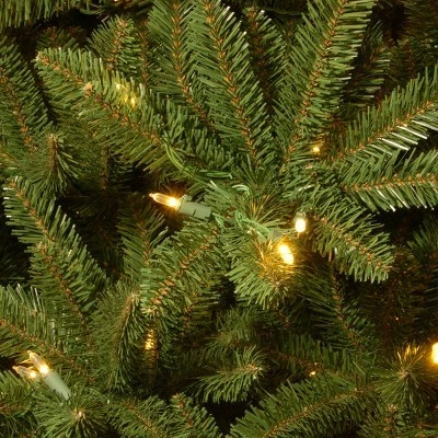 National Tree Company 10' Pre-lit Full Natural Fraser Fir Artificial Christmas Tree With Clear Lights 1 National Tree Company 10' Pre-lit Full Natural Fraser Fir Artificial Christmas Tree With Clear Lights