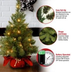 2' Prelit Majestic Spruce Artificial Christmas Tree In Burgundy Cloth Bag Warm White Lights - National Tree Company -National Tree Company GUEST c3b25774 7c1c 49ef 95e4 96c1827c38ad