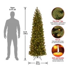 Prelit Slim Feel Real Downswept Douglas Fir Artificial Christmas Tree Clear Lights - National Tree Company 11 Prelit Slim Feel Real Downswept Douglas Fir Artificial Christmas Tree Clear Lights - National Tree Company -National Tree Company GUEST db497c2a 3c7c 4ca5 8424 831b8a8cf423