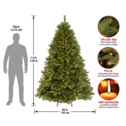 Prelit Winchester Pine Artificial Christmas Tree Clear Lights - National Tree Company 8 Prelit Winchester Pine Artificial Christmas Tree Clear Lights - National Tree Company -National Tree Company GUEST df4910cc a92d 4b5d ba15 144c229cc222