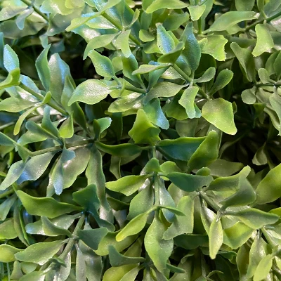 National Tree Company 15" Artificial Globe Japanese Holly 2 National Tree Company 15" Artificial Globe Japanese Holly - Image 2