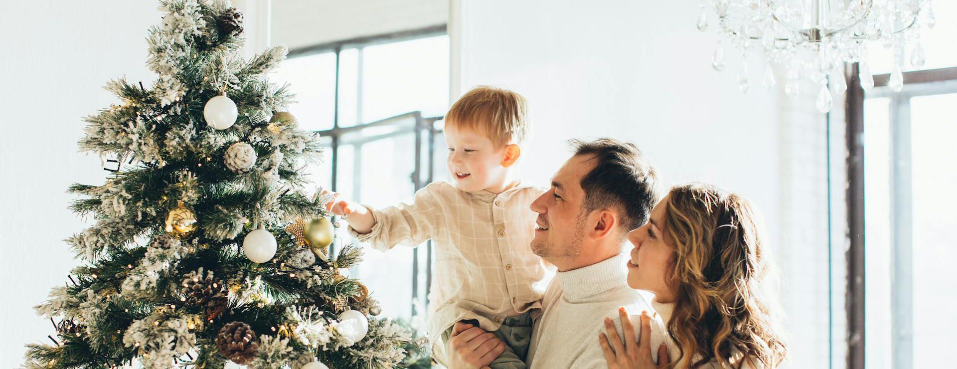 National Tree Company 3 National Tree Company -National Tree Company pexels elly fairytale 5859861 1